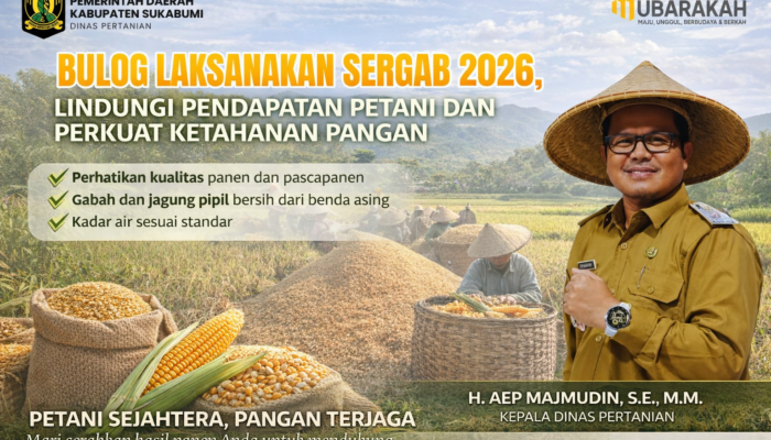 BULOG Kembali Laksanakan SERGAB 2026, Lindungi Pendapatan Petani dan Perkuat Ketahanan Pangan