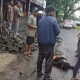 Kecelakaan Tunggal di Muara Citepus Palabuhanratu, Pengendara Motor Terkapar di Jalan