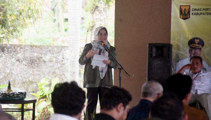 Di Balik Peringkat Dua Nasional, Penyuluh Dan Varietas Lokal Jadi Kunci Swasembada Pangan Sukabumi