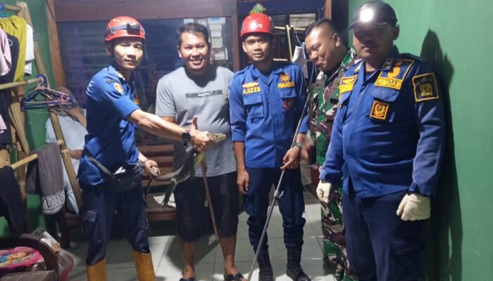 Damkar Surade Evakuasi Biawak di Dapur Rumah Warga Jagamukti