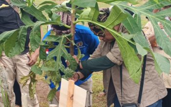 Green Camp Karang Gantung, Gerakan Nyata Selamatkan Alam Pesisir Selatan Sukabumi