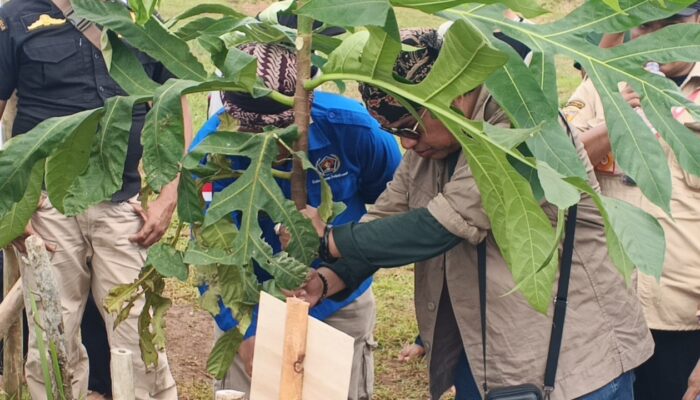 Green Camp Karang Gantung, Gerakan Nyata Selamatkan Alam Pesisir Selatan Sukabumi