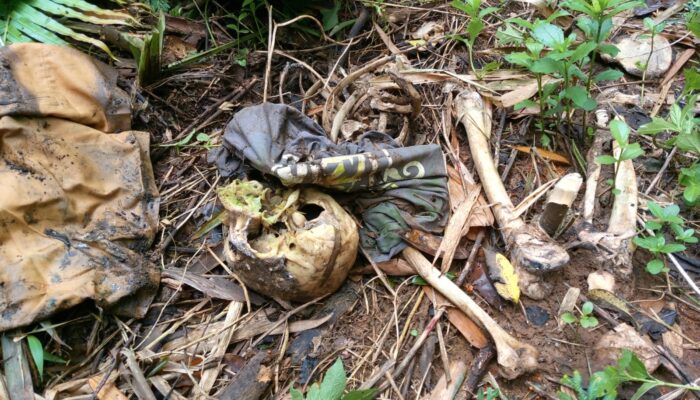 Geger Kerangka Manusia di Kebun Cihaur Sukabumi, Diduga Warga Cipari