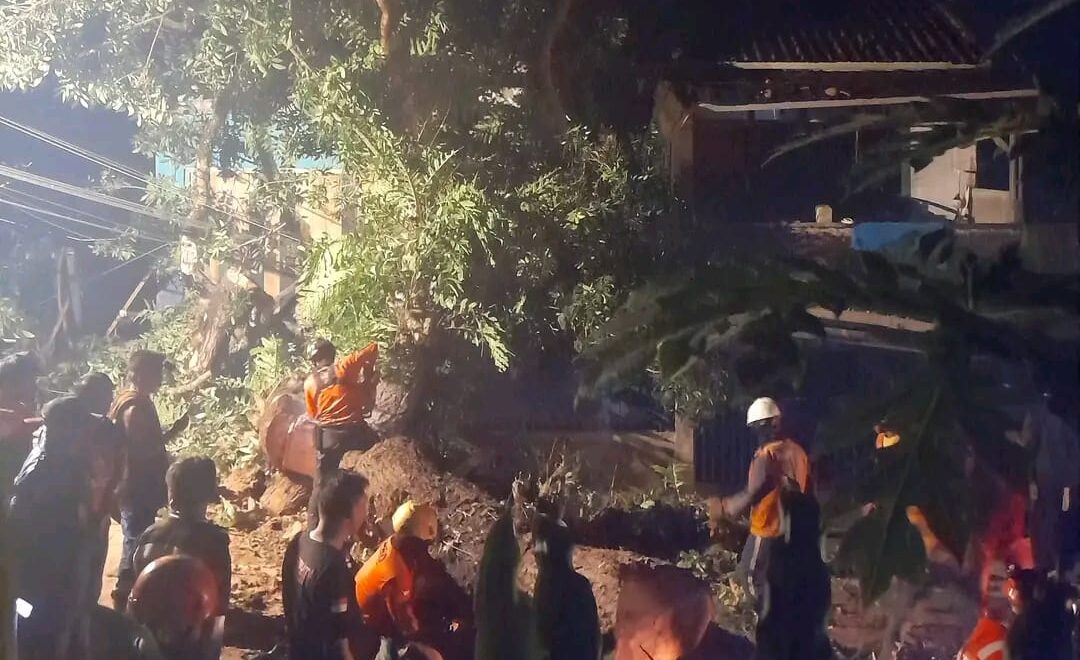 Sejumlah petugas mengevakuasi pohon yang tumbang di jalan Palabuhanratu.