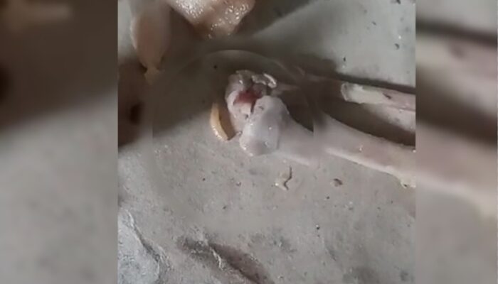 Belatung Ditemukan di Menu MBG PAUD Cimanggu, Kepala SPPG Beri Penjelasan