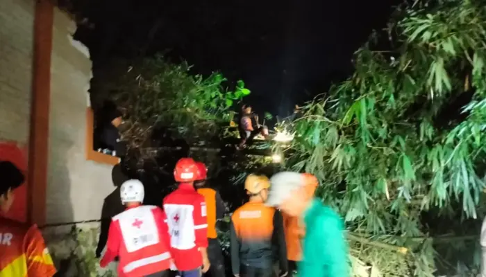 Longsor Terjang Jalan Babakan Garung Sukabumi, BPBD Bergerak Cepat Lakukan Penanganan