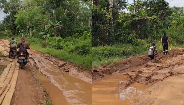 Sampai Belajar Bahasa Sunda, Viral Warga Kalbar Mau Pinjam KDM Buat Perbaiki Jalan