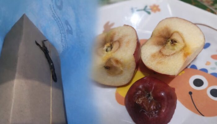 Bangkai Cicak hingga Buah Busuk, Menu MBG di SDN CBM Pakujajar Sukabumi Diprotes