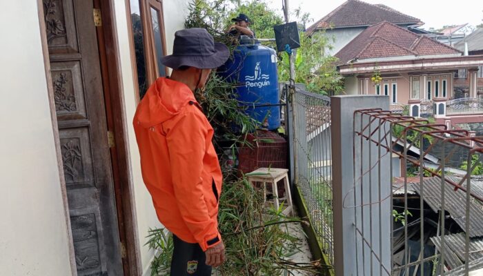 Pohon Setinggi 15 Meter Tumbang di Jalan Parigi Sukabumi, Akses Jalan Sempat Terganggu