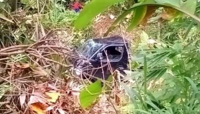 Pickup Bermuatan Pasir Terjun ke Jurang 40 Meter di Cisolok Sukabumi, Satu Orang Tewas