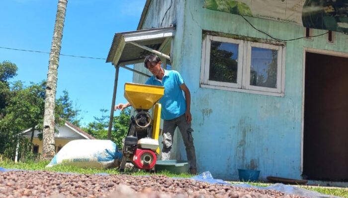 Kolaborasi Petani dan Industri, Ekosistem Kopi Berkelanjutan Tumbuh di Kabandungan Sukabumi