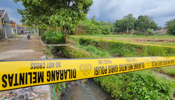 Misteri ‘Celurit di Selokan’: Niat Cari Rumput, Pria Cijambe Malah Dijemput Maut