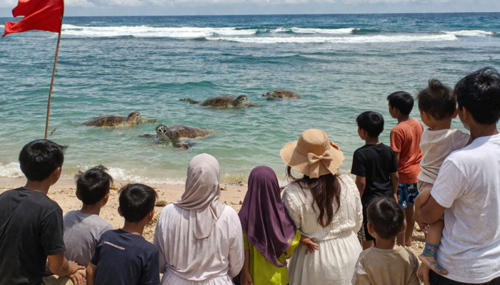 Penampakan Penyu Hebohkan Wisatawan di Pantai Cibuaya Sukabumi