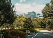 Tanpa Ruang Terbuka Hijau, Apakah Kota Masih Layak Dihuni?