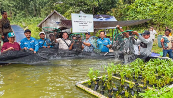 Investasi Industri Dorong Kayong Utara Tumbuh, Serap 1.800 Tenaga Kerja Lokal