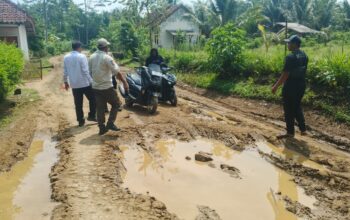 Kerusakan Jalan Capai 60 Persen, Sukatani Butuh Rekonstruksi