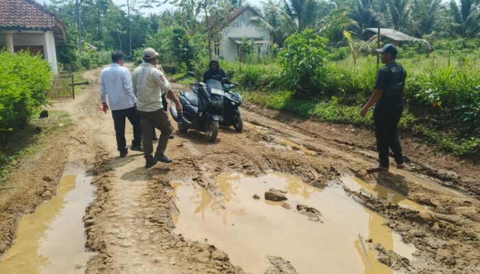 Kerusakan Jalan Capai 60 Persen, Sukatani Butuh Rekonstruksi