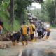 Hujan Deras Picu Longsor di Nyalindung, Jalur Sukabumi–Sagaranten Sempat Lumpuh