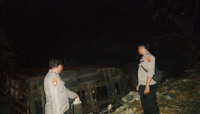 Diduga Kehilangan Tenaga, Truk Trailer Terperosok ke Sawah di Cisolok Sukabumi