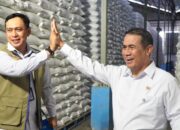 Stok Beras Nasional Tembus 5 Juta Ton, Bulog Cianjur Jadi Motor Serapan Gabah Petani