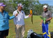 Sejumlah pecinta burung menunjukkan burung peliharaannya sebelum sesi latihan free flight di Bukit Panenjoan, Kecamatan Cibadak, Kabupaten Sukabumi, Sabtu (25/04/2026).