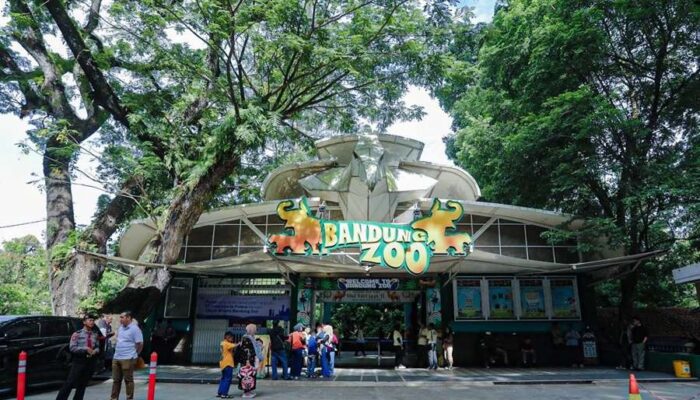Polemik Bandung Zoo Belum Usai, KDM Siapkan Langkah Penyelamatan