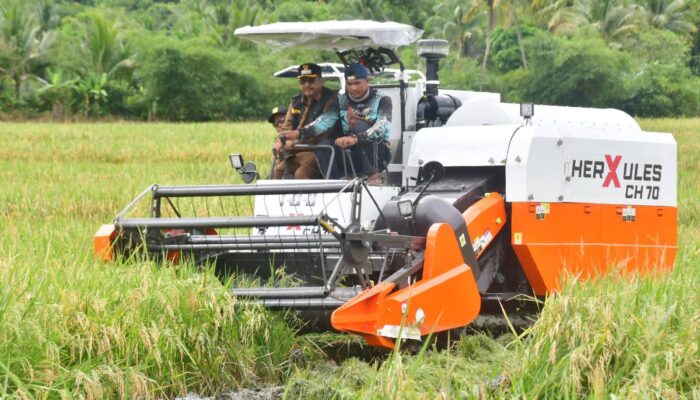 Panen Raya di Ciemas, Produktivitas Padi Lampaui Rata-rata Kabupaten Sukabumi