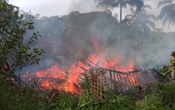 Rumah Warga di Kalibunder Hangus Terbakar, Dua Motor dan Traktor Tak Terselamatkan