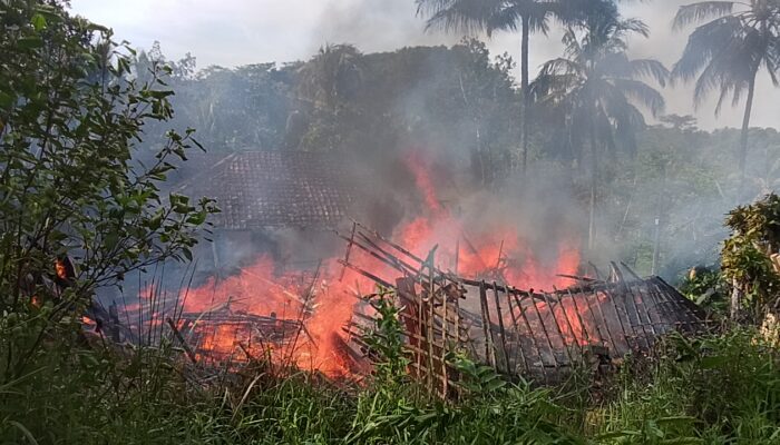 Rumah Warga di Kalibunder Hangus Terbakar, Dua Motor dan Traktor Tak Terselamatkan