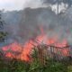 Rumah Warga di Kalibunder Hangus Terbakar, Dua Motor dan Traktor Tak Terselamatkan