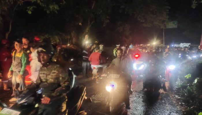 Pohon Tumbang dan Tiang Listrik Roboh, Jalur Nasional Cikakak Sempat Macet Total