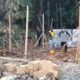 Hari Keempat Bedah Rumah, Gotong Royong Warga dan Pengusaha Jampangkulon Terus Mengalir