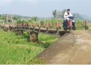 Seorang pemotor melintasi Jembatan Caringin, penghubung Desa Caringin, Kecamatan Gegerbitung dengan Desa Bencoy, Kecamatan Cirenghas, Kabupaten Sukabumi, Jumat (01/05/2026). Kondisi jembatan butuh perbaikan setelah rusak terdampak gempa beberapa tahun lalu.