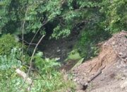 Sebuah truk mengalami terjun ke jurang di kawasan Tanjakan Cisarakan, Palabuhanratu, Kabupaten Sukabumi, hingga kini belum dievakuasi, Senin siang (11/5/2026).