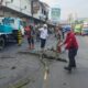 Cegah Risiko Kecelakaan, Pohon Mahoni Tua di Leuwi Goong Cibadak Ditebang