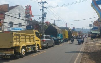 Pemangkasan Pohon Tua Picu Kemacetan di Cibadak Sukabumi