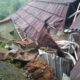 Tebing Longsor Timpa Rumah di Ciambar Sukabumi, Satu Keluarga Diungsikan