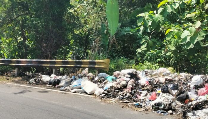 Bau Menyengat hingga Ada Biawak, Tumpukan Sampah di Jalur Bagbagan–Kiaradua Dikeluhkan Pengendara