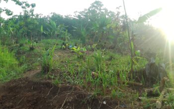 Warga Terdampak Bencana di Simpenan Sukabumi Desak Pengiriman Alat Berat untuk Percepat Relokasi