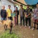 Dari Energi Panas Bumi hingga Kurban Idul Adha, PT DMCG Perkuat Kepedulian Sosial