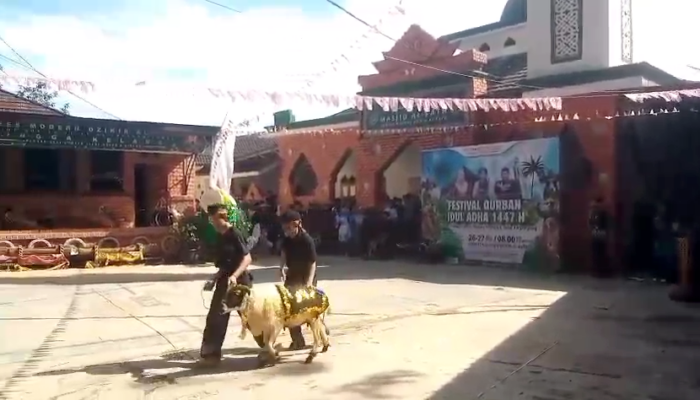 Festival Qurban Unik di Ponpes Dzikir Al-Fath, Santri Tampilkan Kabaret dan Fashion Show Domba