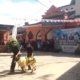 Festival Qurban Unik di Ponpes Dzikir Al-Fath, Santri Tampilkan Kabaret dan Fashion Show Domba