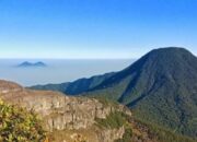 Jalur Gunung Gede Pangrango Ditutup Sementara, Pendaki Nekat Terancam Blacklist