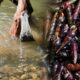 Asyiknya Berburu Susuh Sungai di Cipamarangan, Jadi Tradisi Kuliner Warga Buniwangi