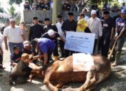 Tujuh Sapi Kurban dari Bakrie Amanah Disalurkan Pemkab Sukabumi untuk Warga