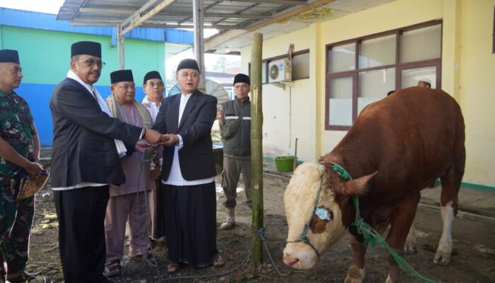 322 Hewan Kurban Disalurkan Pemkab Sukabumi, Termasuk Bantuan Presiden untuk Jampangtengah