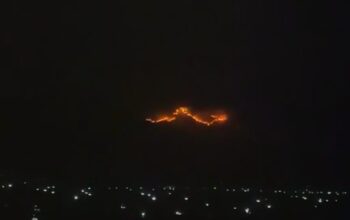 Kebakaran Bukit Terjadi di Jalur Loji–Palangpang, Pengendara Diminta Waspada Asap