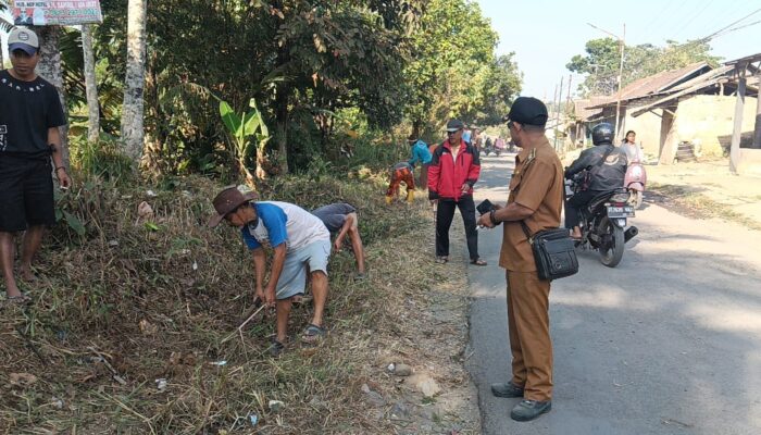 Gotong Royong Jadi Tradisi, Warga Padajaya Kompak Percantik Lingkungan Jelang HUT ke-81 RI  SUKABUMI – Menyambut