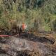 Kebakaran Lahan di Kalapanunggal Sempat Merambat, Damkar Berhasil Jinakkan Api