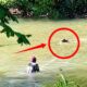 Di Balik Viral Buaya Situ Habibi, Warga Sudah Bertahun-tahun Hidup Berdampingan dengan Predator Liar
